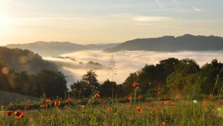 Aussicht Refugium Phönixberg, © Ulrich Reinthaller