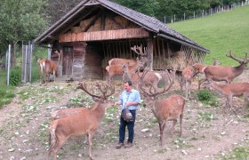 Rotwildgehege, © Marktgemeinde Frankenfels